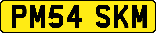 PM54SKM