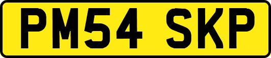 PM54SKP