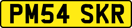 PM54SKR