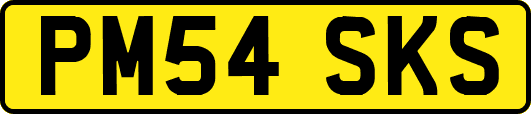 PM54SKS
