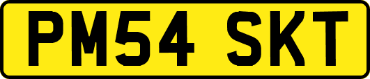 PM54SKT