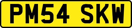 PM54SKW