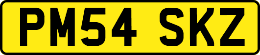 PM54SKZ