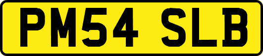 PM54SLB