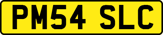 PM54SLC