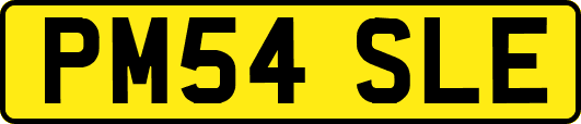 PM54SLE