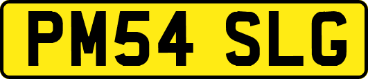PM54SLG
