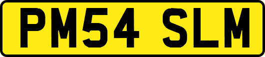 PM54SLM