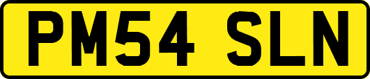 PM54SLN