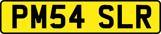 PM54SLR