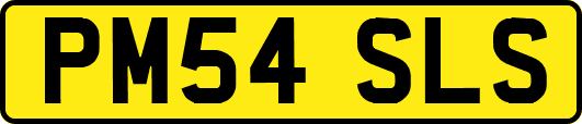 PM54SLS