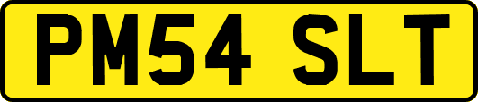 PM54SLT