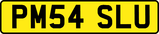 PM54SLU
