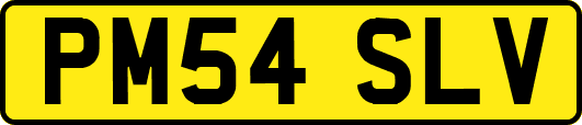 PM54SLV