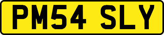 PM54SLY