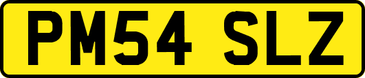 PM54SLZ