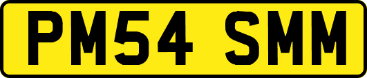 PM54SMM