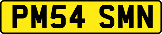PM54SMN