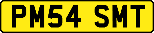PM54SMT