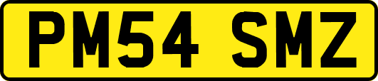 PM54SMZ