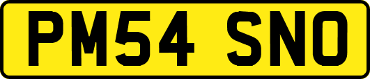 PM54SNO