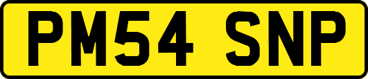 PM54SNP