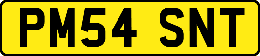 PM54SNT