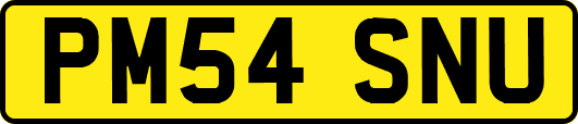 PM54SNU