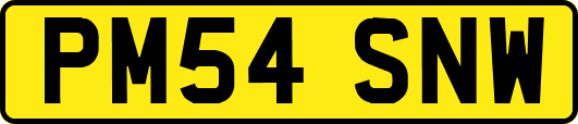 PM54SNW