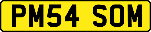 PM54SOM