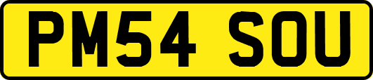 PM54SOU