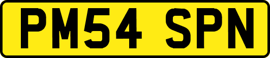 PM54SPN