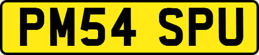 PM54SPU