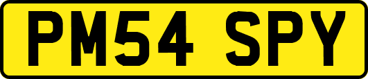 PM54SPY