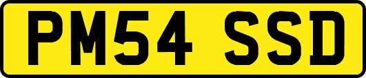 PM54SSD