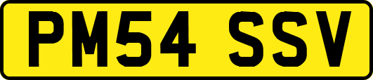 PM54SSV