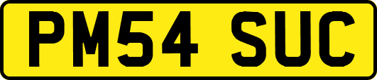 PM54SUC