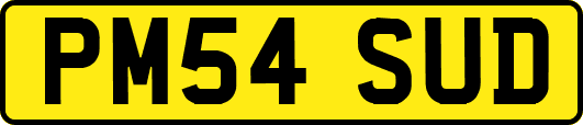PM54SUD