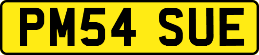 PM54SUE