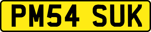 PM54SUK
