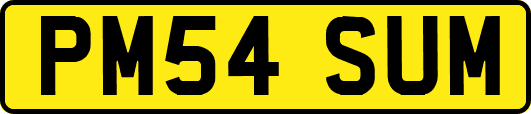 PM54SUM