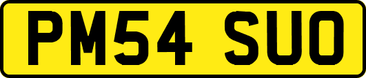 PM54SUO
