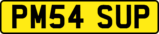 PM54SUP