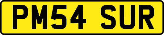 PM54SUR