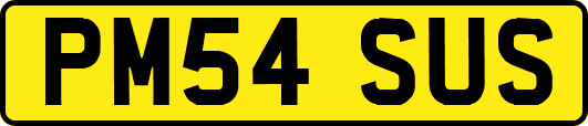 PM54SUS