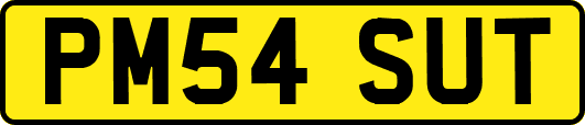 PM54SUT