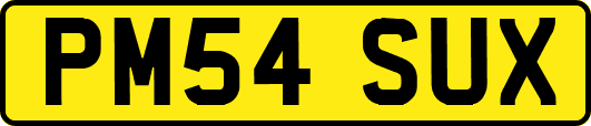 PM54SUX