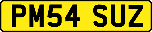 PM54SUZ