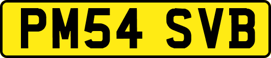 PM54SVB