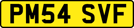 PM54SVF